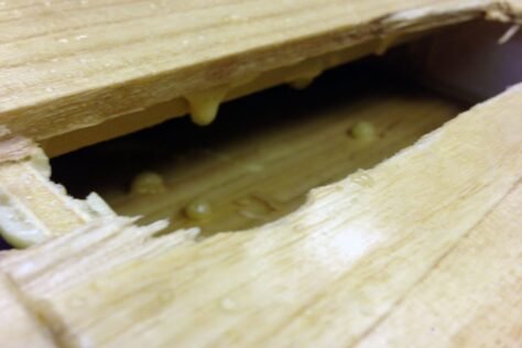 Bruch zwischen den Leisten