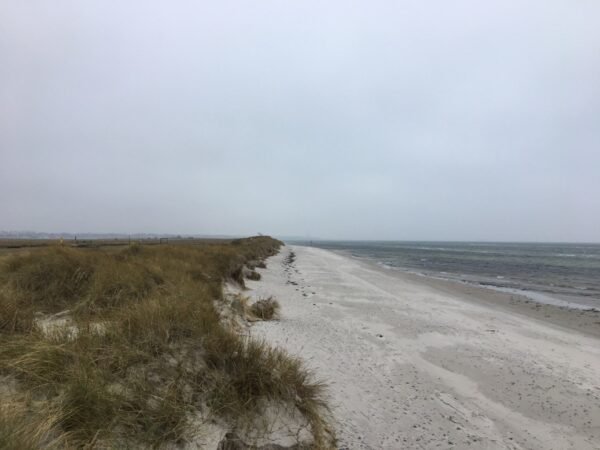 Gedämpftes Licht, Nebel verschluckt Marineehrenmal in Laboe